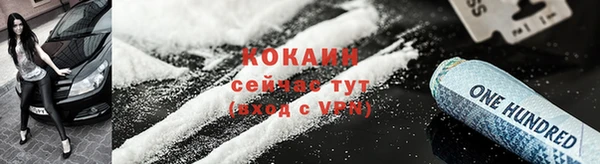 спайс Ельня