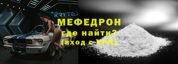 индика Елабуга