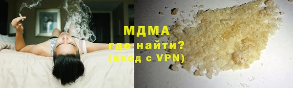 индика Елабуга