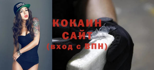 спайс Ельня