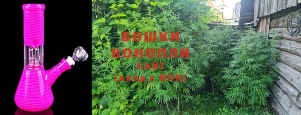 спайс Ельня