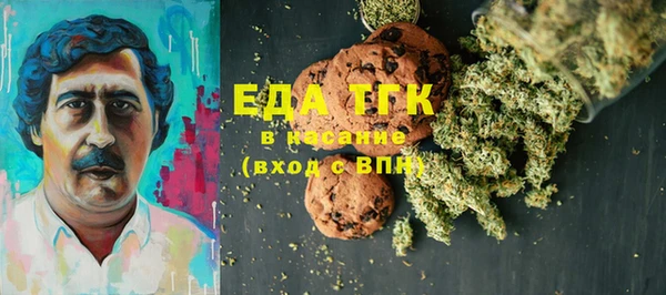 индика Елабуга
