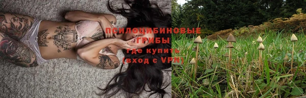 спайс Ельня