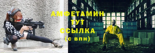 индика Елабуга