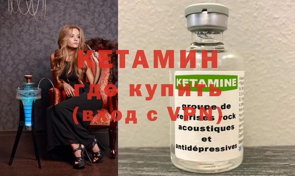 индика Елабуга