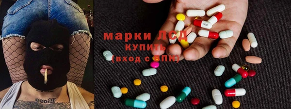 индика Елабуга