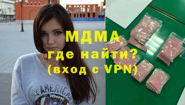индика Елабуга