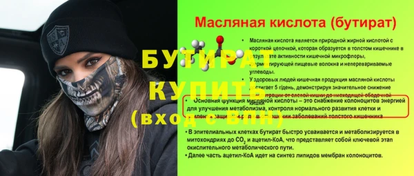 индика Елабуга