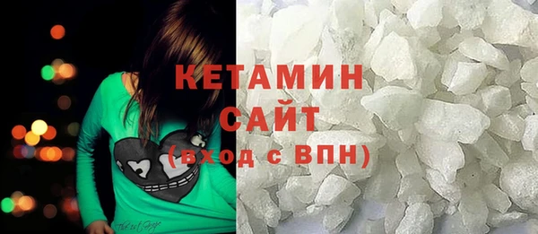 индика Елабуга