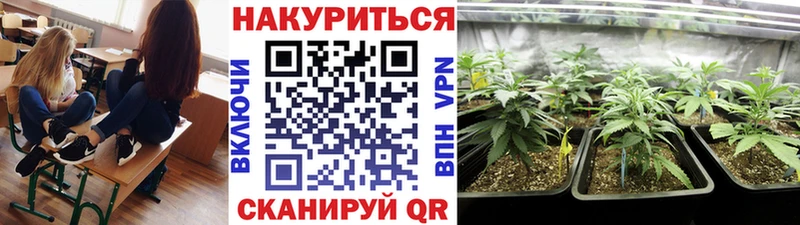 Каннабис конопля  Воркута 